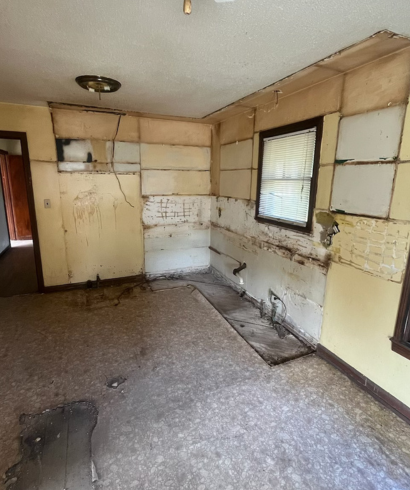 Professional home repair and renovation services in Atlanta by Trust & Repair, offering plumbing, electrical, and general maintenance solutions.